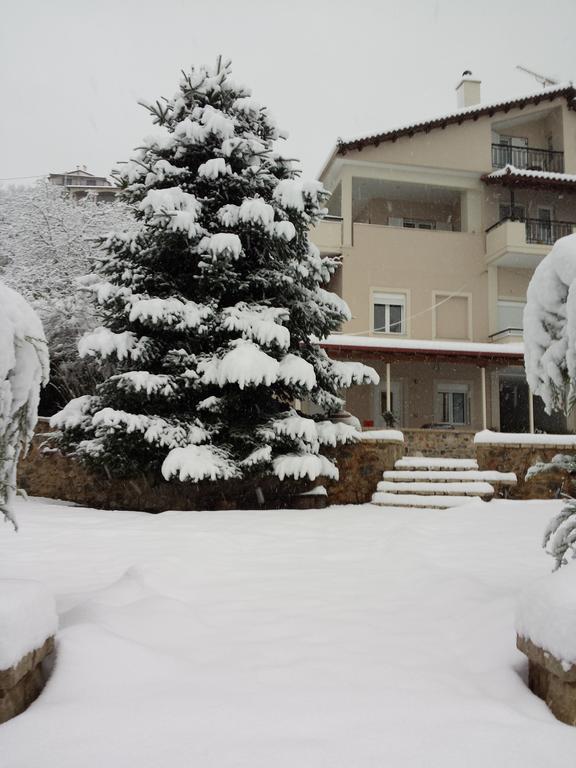 Xenonas Ioanni Parcha Hotel Levidhion Exterior photo